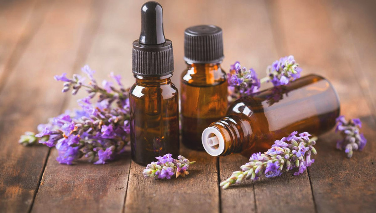 Linalool emerged as a defense from insects and now acts as an antibacterial. Linalool emerged as a defense from insects and now acts as an antibacterial.