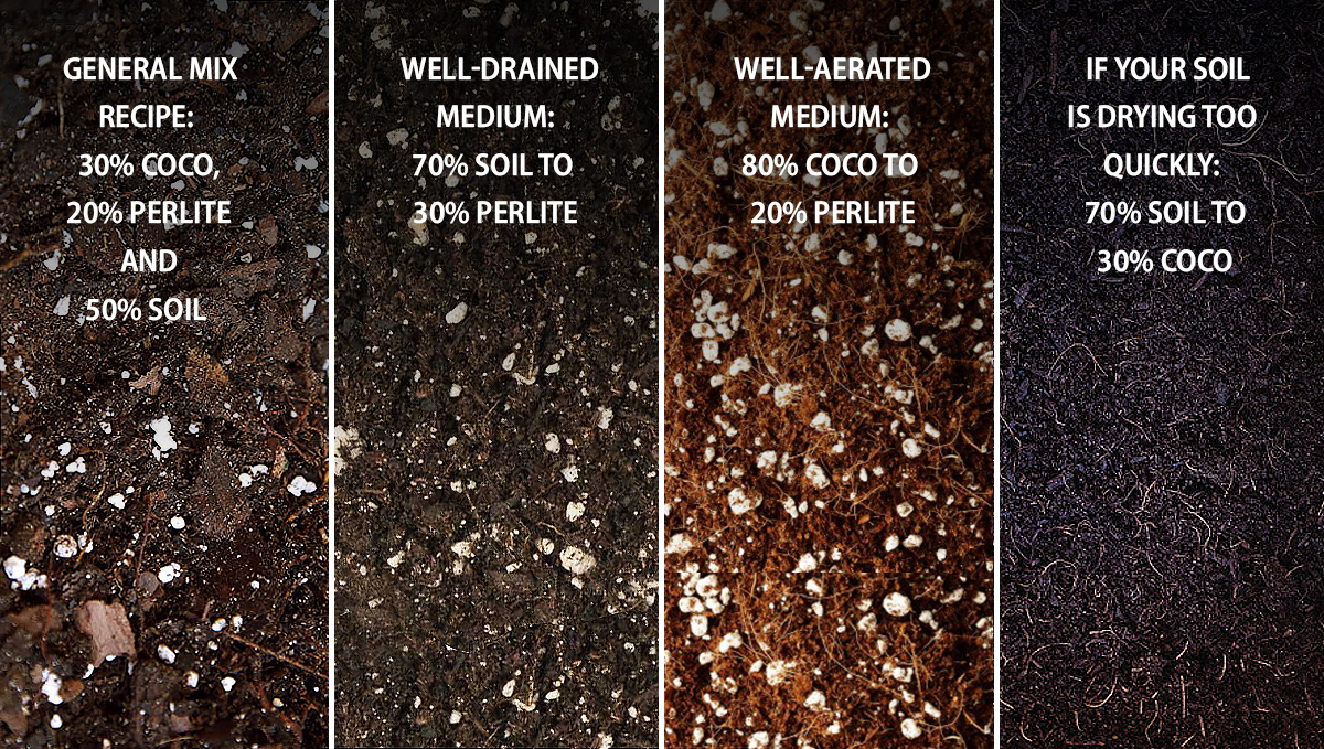 9 Mistakes to Avoid: best medium 9 Mistakes to Avoid: best medium