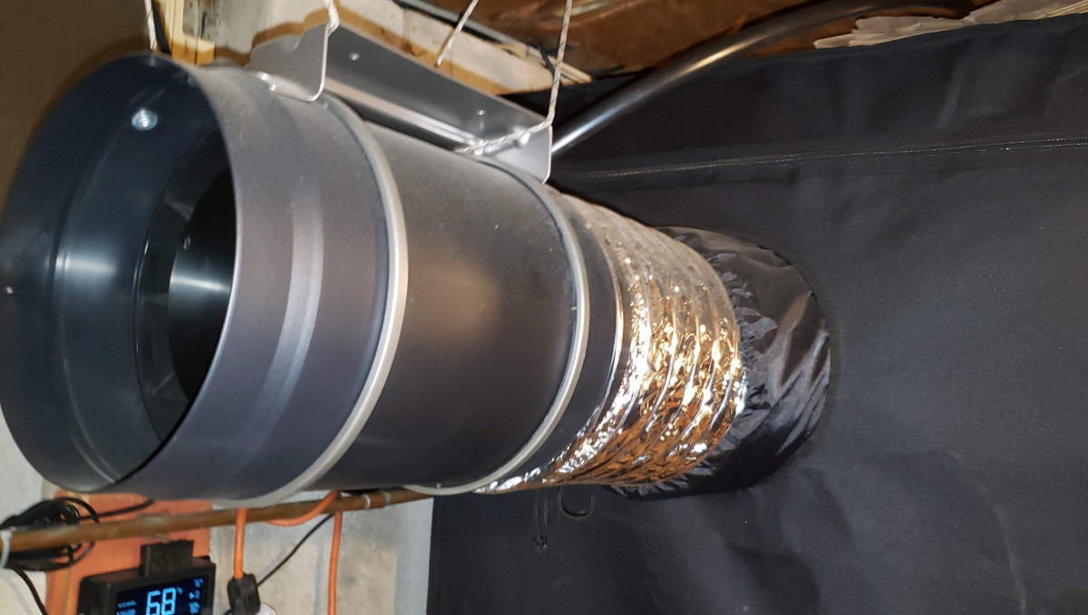 Strawberry Pie Auto Cannabis Strain Week-by-Week Guide: AC Infinity Cloudline fan mounted outside a grow tent 