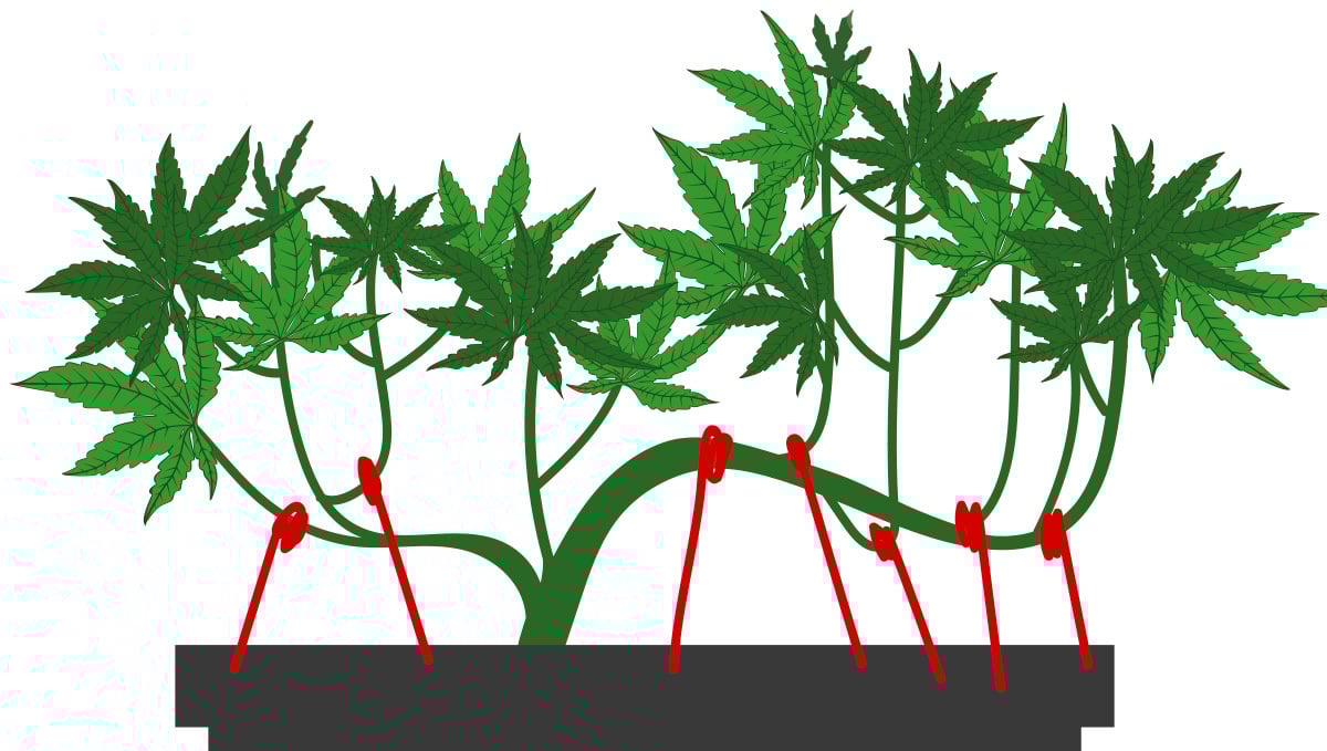 The tie-down method: step 2 The tie-down method: step 2