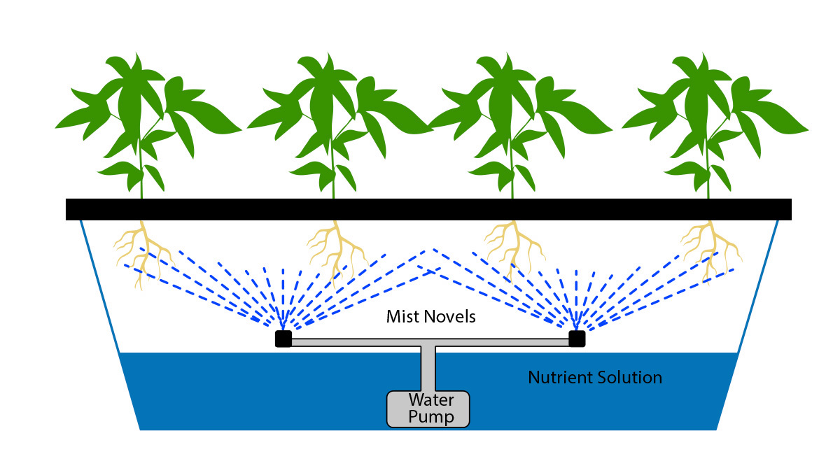 How does aeroponics work Comment fonctionne l'aéroponie?