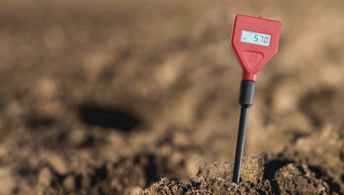 Warum und wie man ein pH-Messgerät verwendet: Boden-pH
