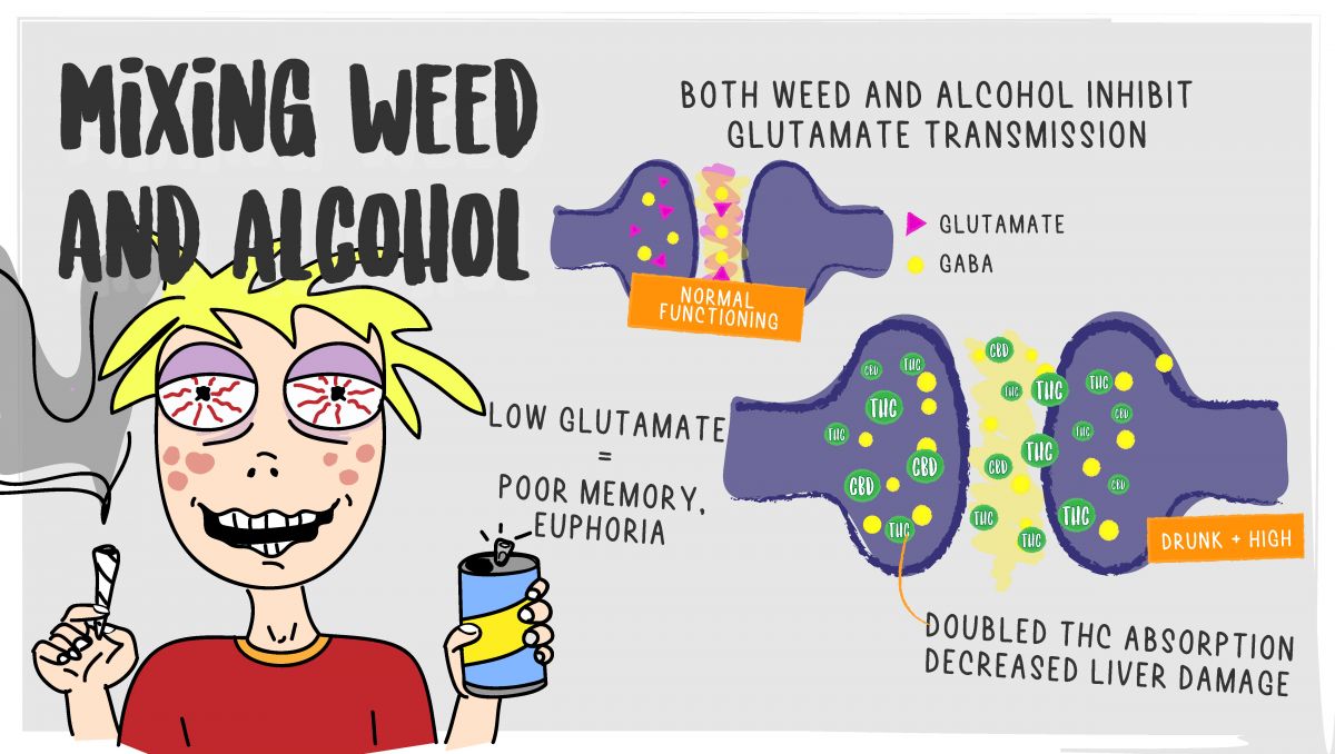 The effects of mixing alcohol and cannabis: the effects of mixing cannabis and alcohol on the brain