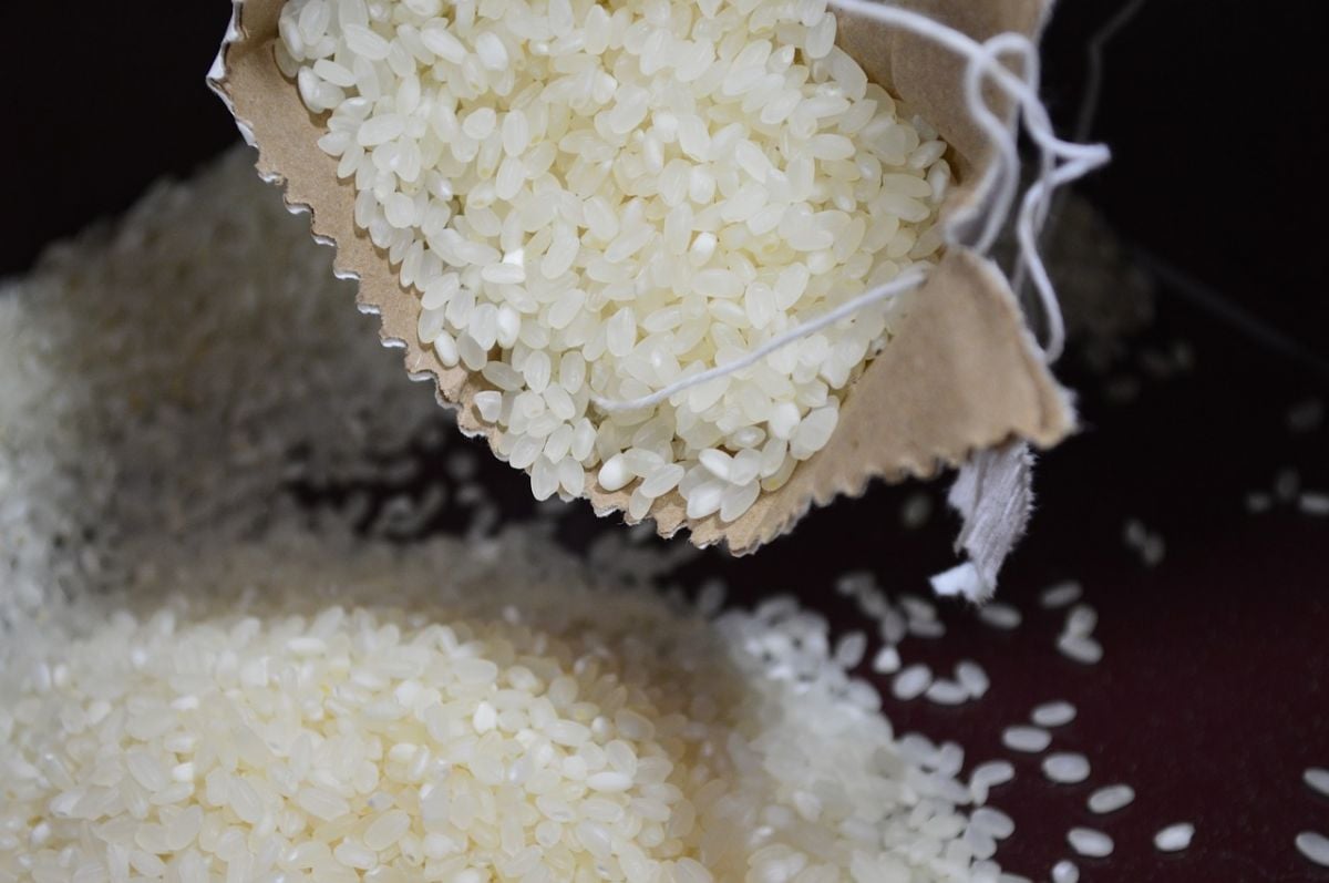 rice.jpg Rice by white kim pixabay