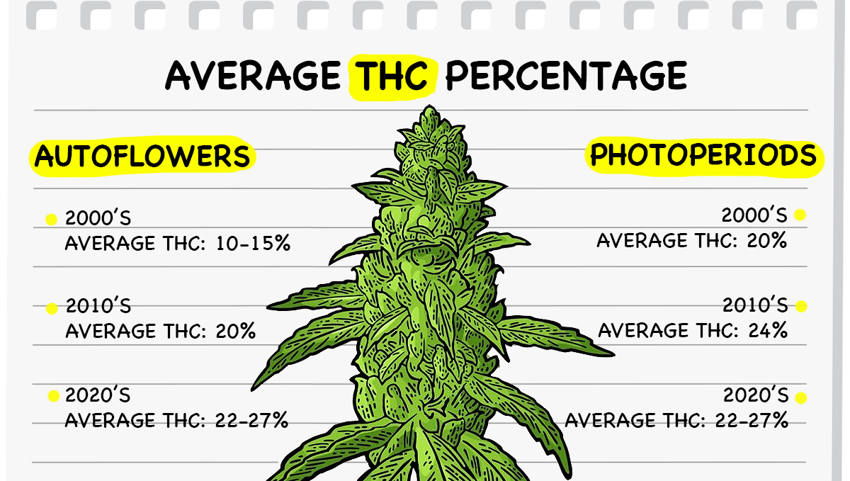 Photoperiods vs Autoflowers: Potenz Photoperiods vs Autoflowers: Potenz