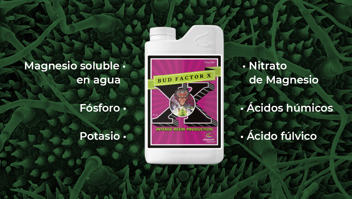 Nutrientes avanzados para autoflorecientes: factor de cogollos x