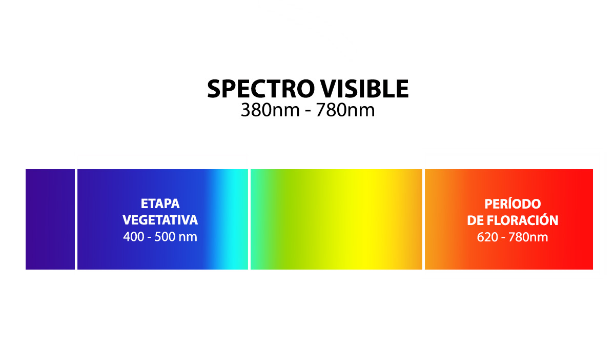 Visible para longitudes de onda espectrales humanas