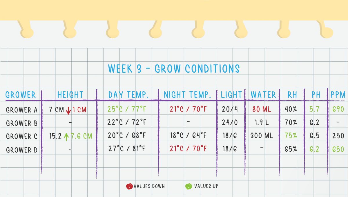 Gorilla Cookies Auto Cannabis Strain Week-by-Week Guide: Week 3 Grow Conditions