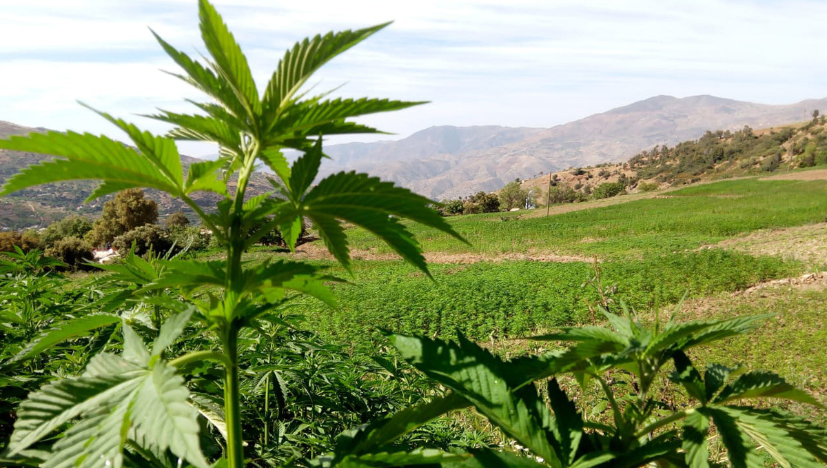 Everything you need to know about hash: ketama drums Everything you need to know about hash: ketama drums