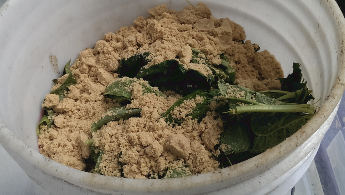 Korean natural farming: adding brown sugar