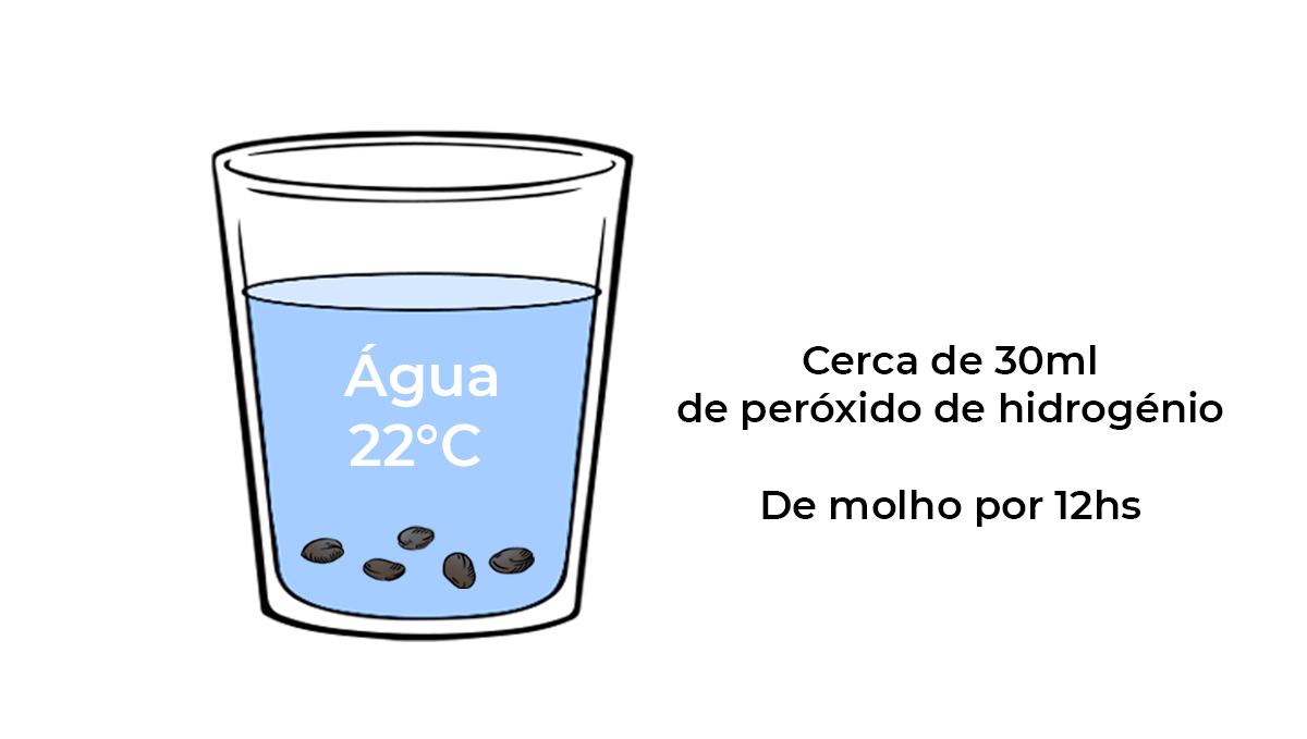 Guia de germinação: água suplementada Guia de germinação: água suplementada