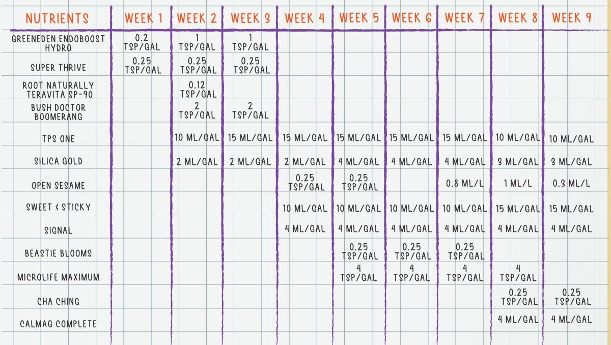 Orange Sherbet Auto Cannabis Strain Week-by-Week Guide: Organic feeding schedule Orange Sherbet Auto Cannabis Strain Week-by-Week Guide: Organic feeding schedule