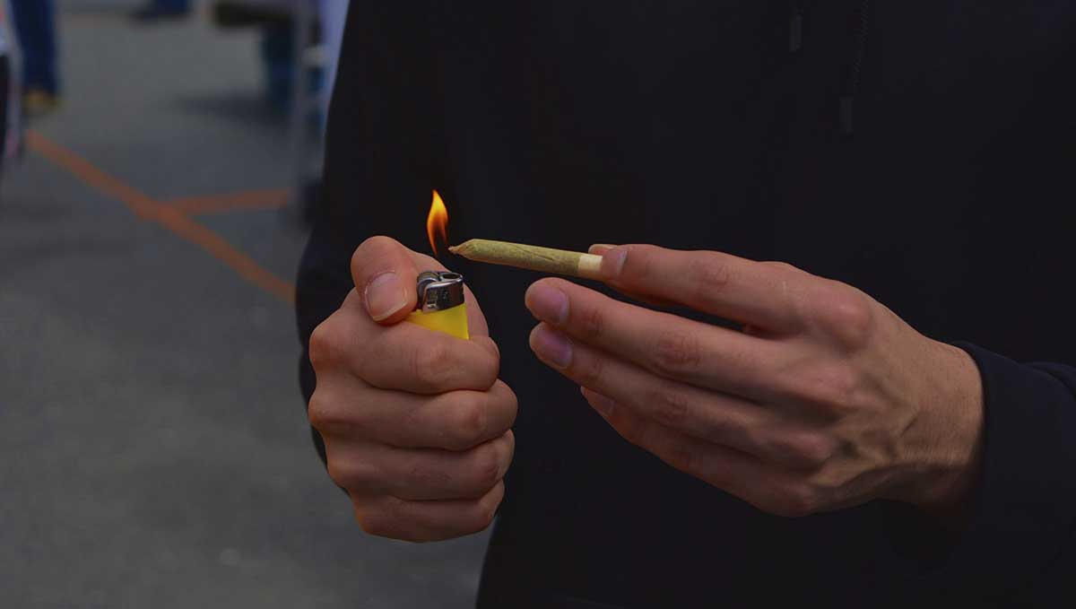 Tobacco and Weed: Everything You Should Know About Spliffs: Find all about this mix! 