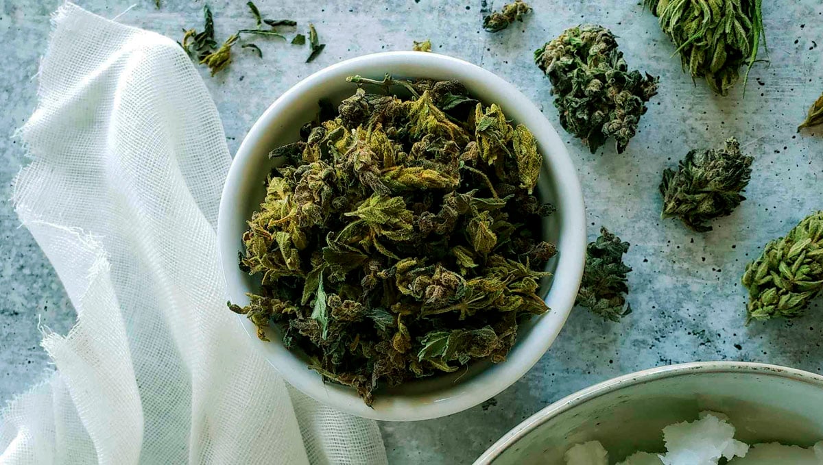 Para fazer loção de canábis é necessário faze óleo de cannabis primeiro.