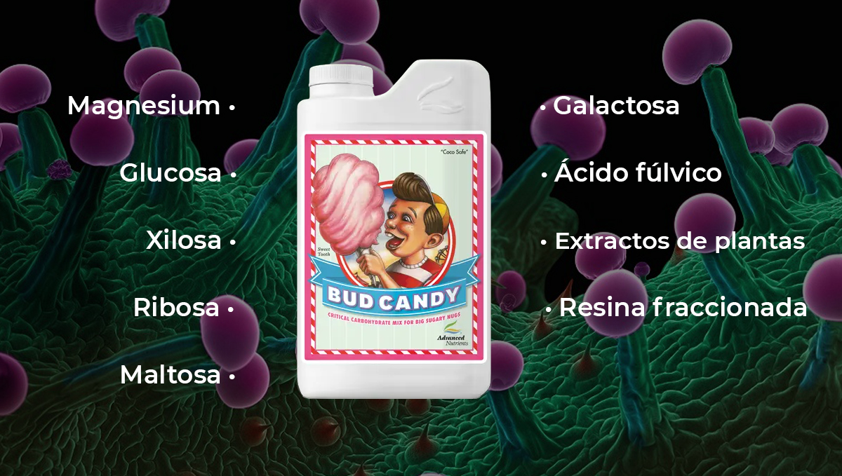 Nutrientes avanzados para autoflorecientes: bud candy