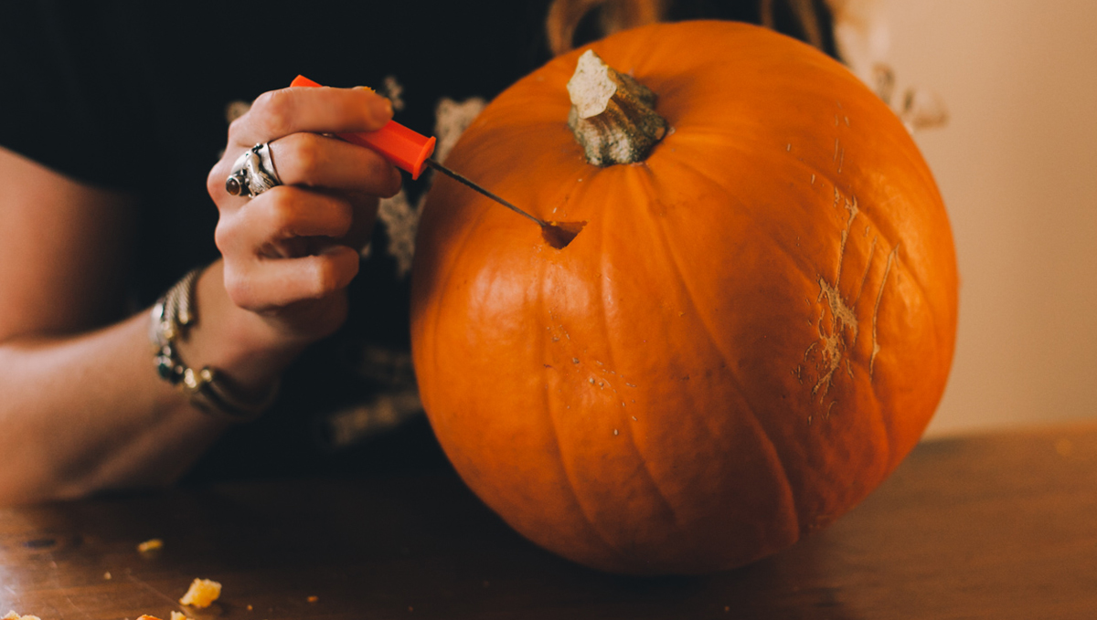 Time to take out the guts! Time to take out the guts!