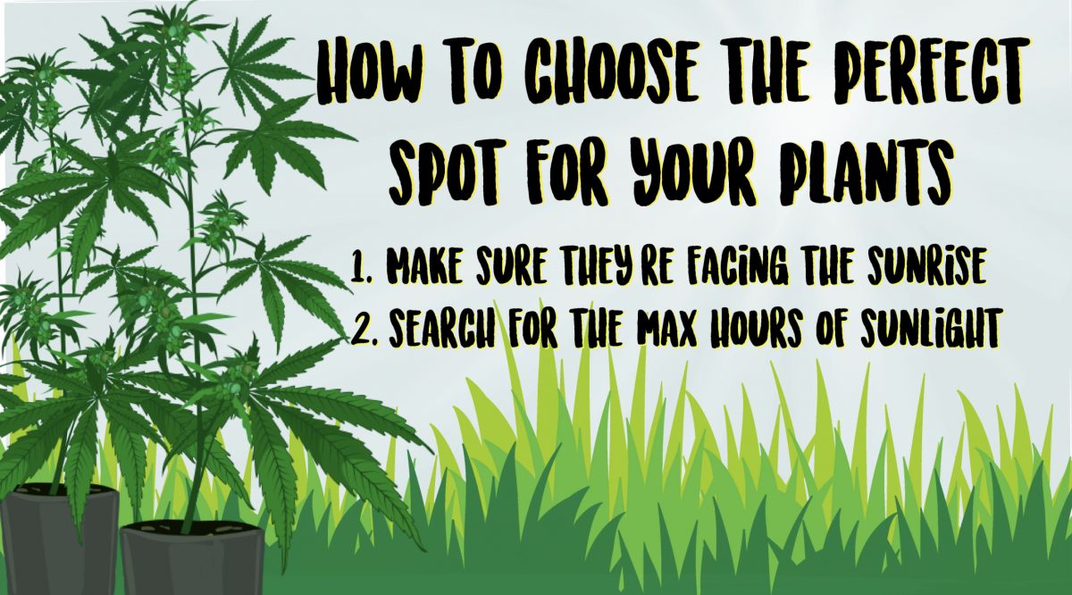 Screenshot 2021-05-04 at 12.50.42.png