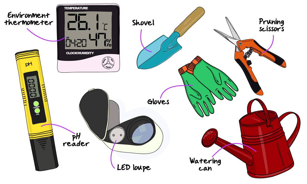 Must have tools in a garden Must have tools in a garden