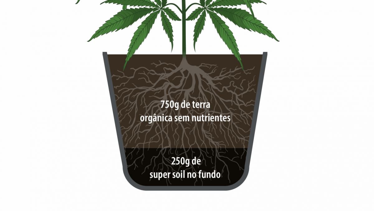 Super soil para cannabis: como usar super soil Super soil para cannabis: como usar super soil