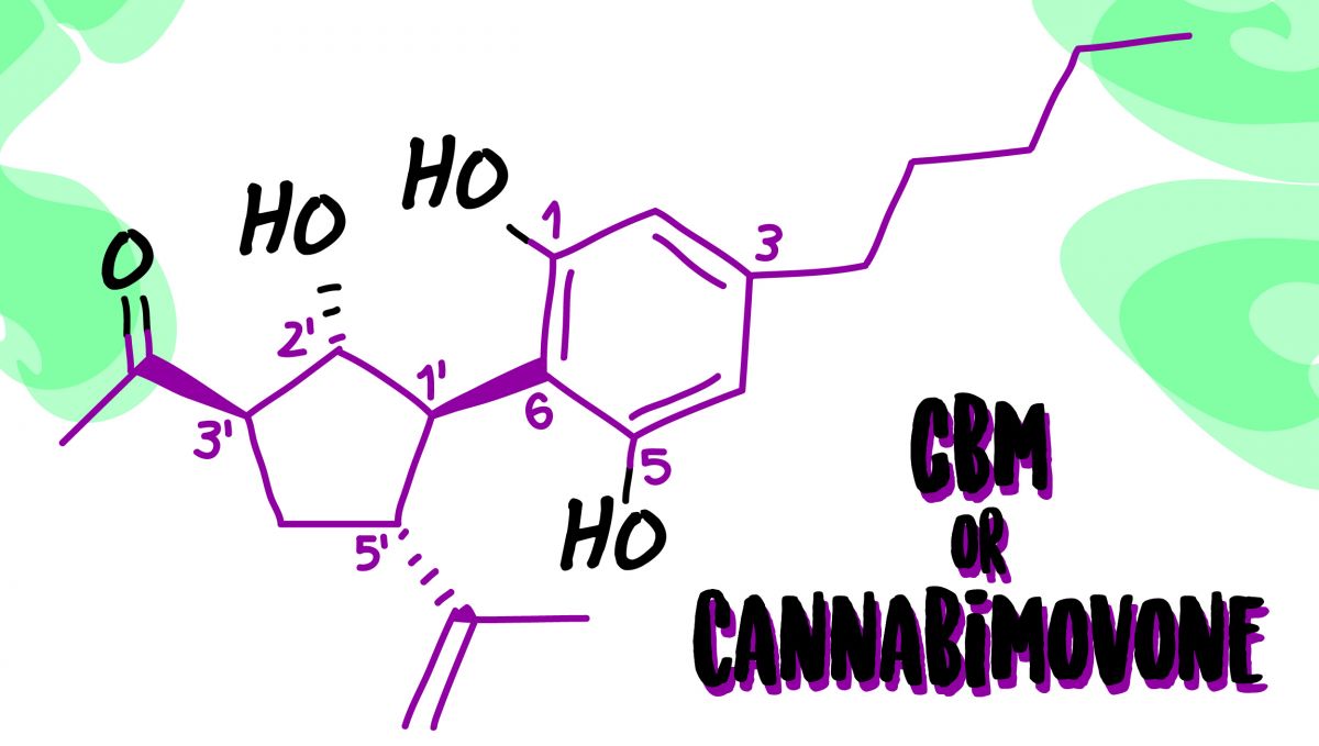 CBM Molecule CBM Molecule