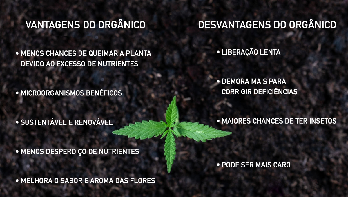 Vantagens e desvantagens do orgânico Vantagens e desvantagens do orgânico