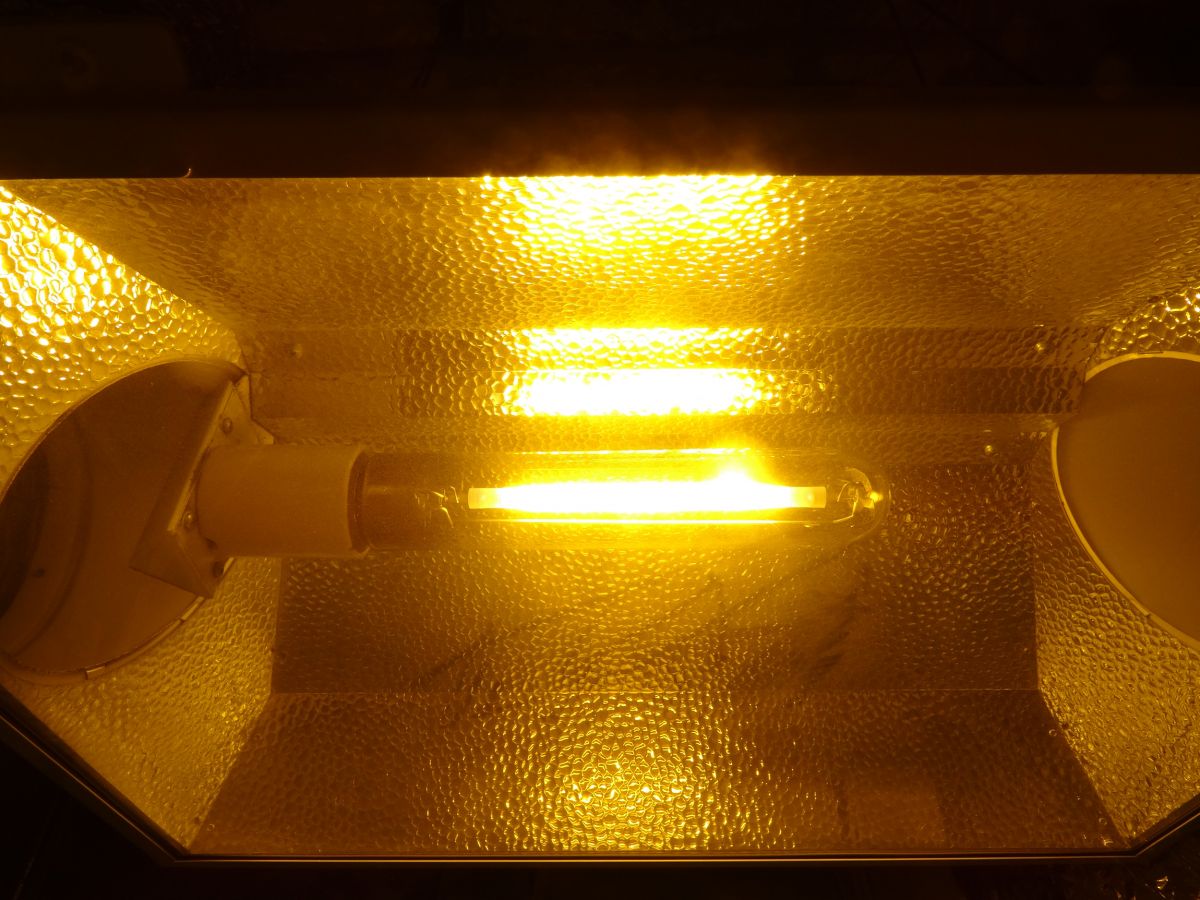 hps-lighting-growing-cannabis.jpg HPS Bulb