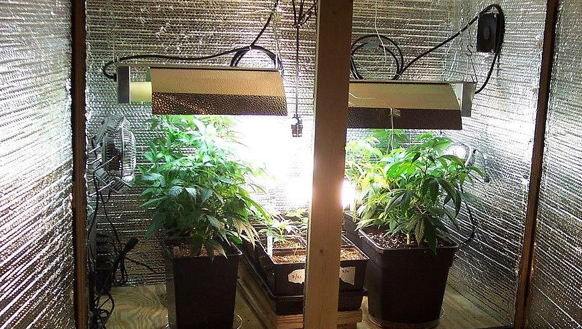 DIY Growroom: improvisierter Growroom