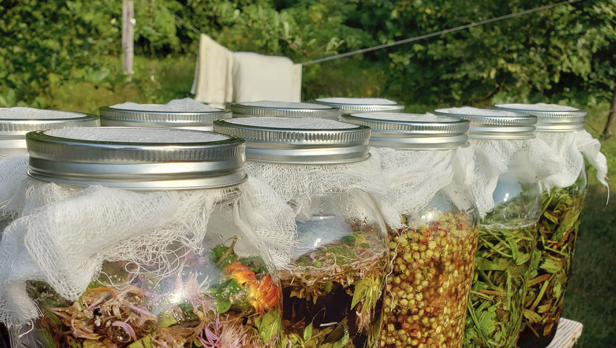 Korean natural farming: Oriental herb nutrients