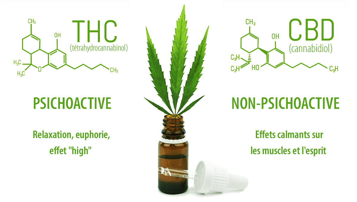 Effets du CBD et du THC