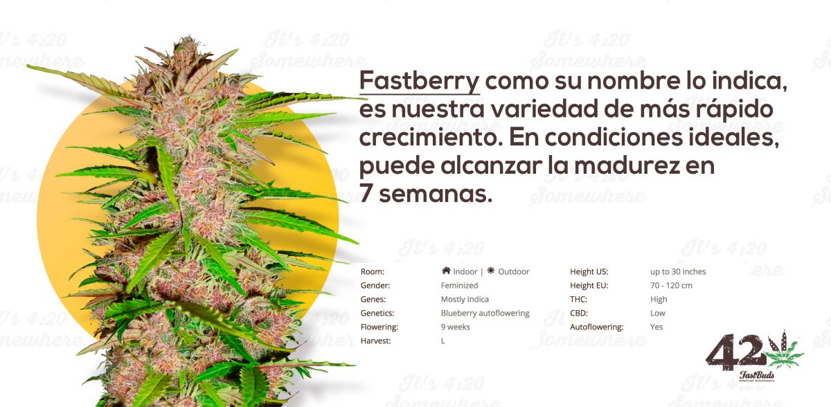 fastberry es.jpg Fast Buds Fastberry