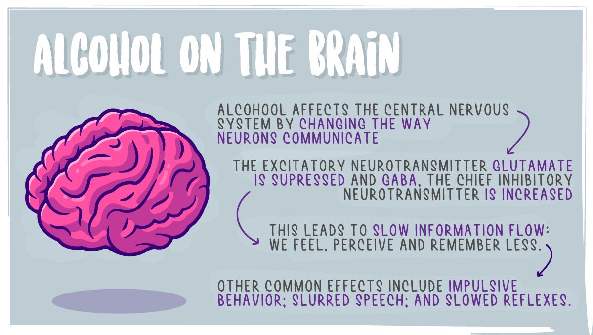 The effects of mixing alcohol and cannabis: the effects of alcohol on the brain