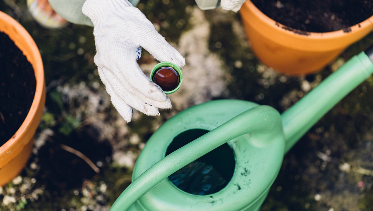 Guanokalong feeding chart: liquid fertilizers