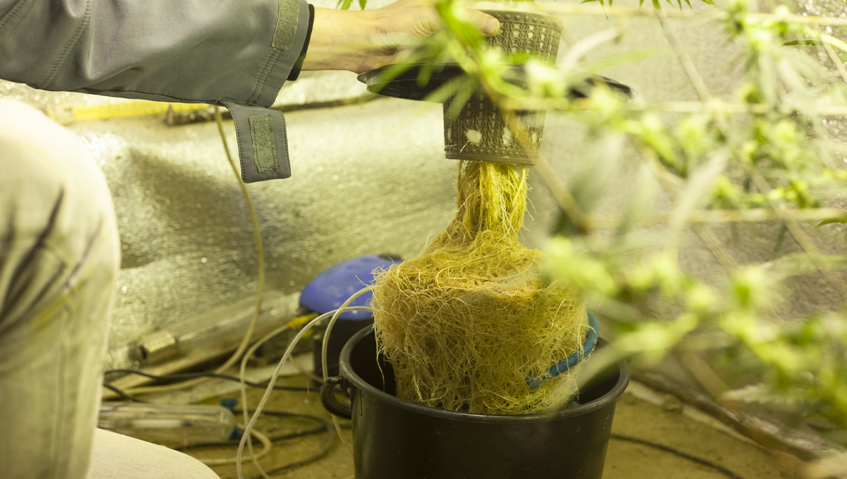 Shogun usage guide: hydro Shogun usage guide: hydro