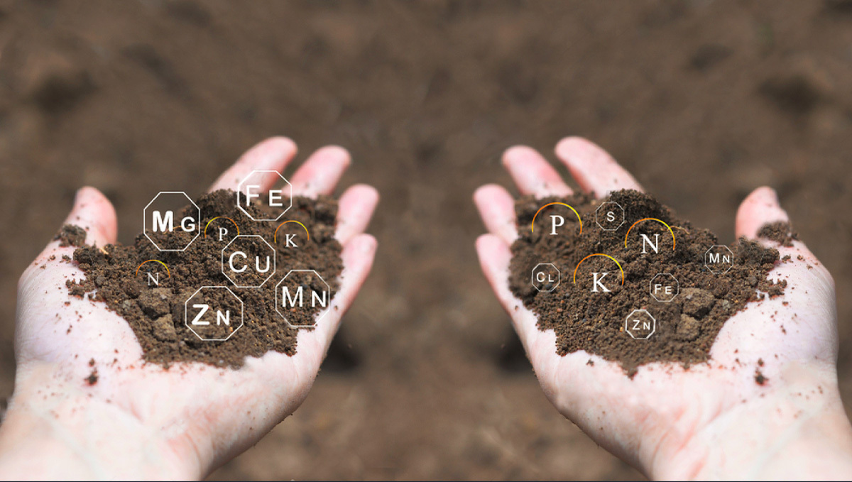 Deficiencias de nutrientes del cannabis: oligoelementos