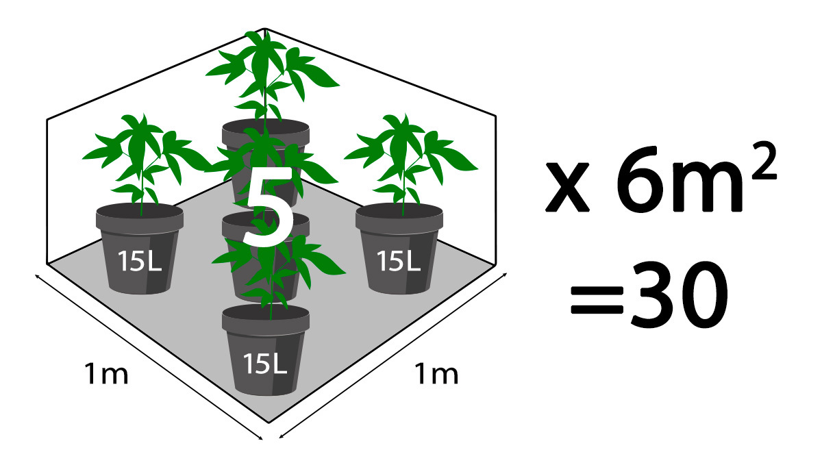 Calculate Number Of Plants Based On Pot Size Calculer le nombre de plantes en fonction de la taille du pot