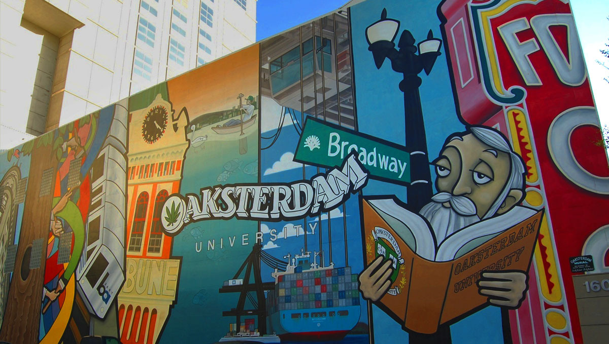 The best online cannabis courses: oaksterdam university