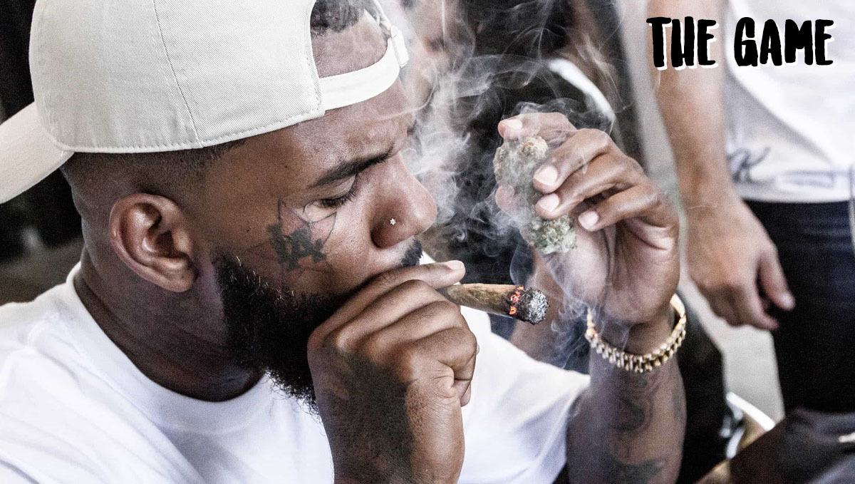 10 famous cannabis companies: trees by game 10 famous cannabis companies: trees by game