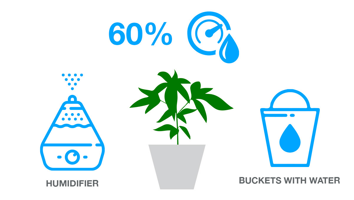 Humidity Control
