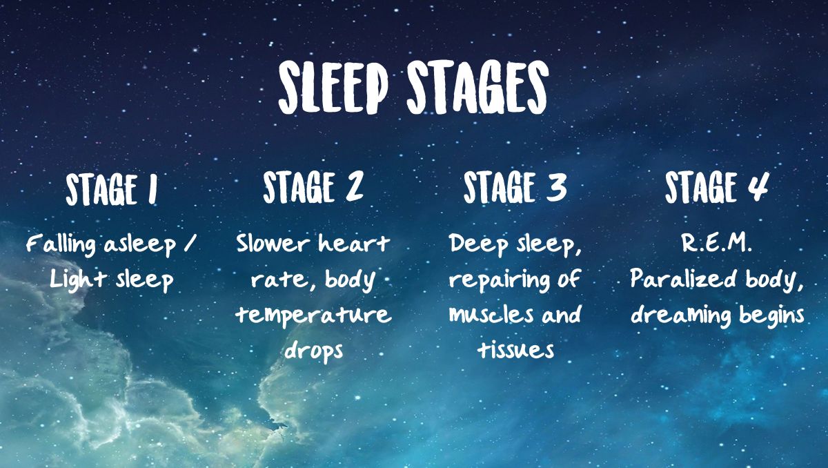 The different stages of sleep explained.