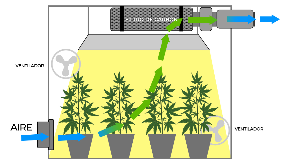 La importancia de la circulación del aire: circulación del aire.