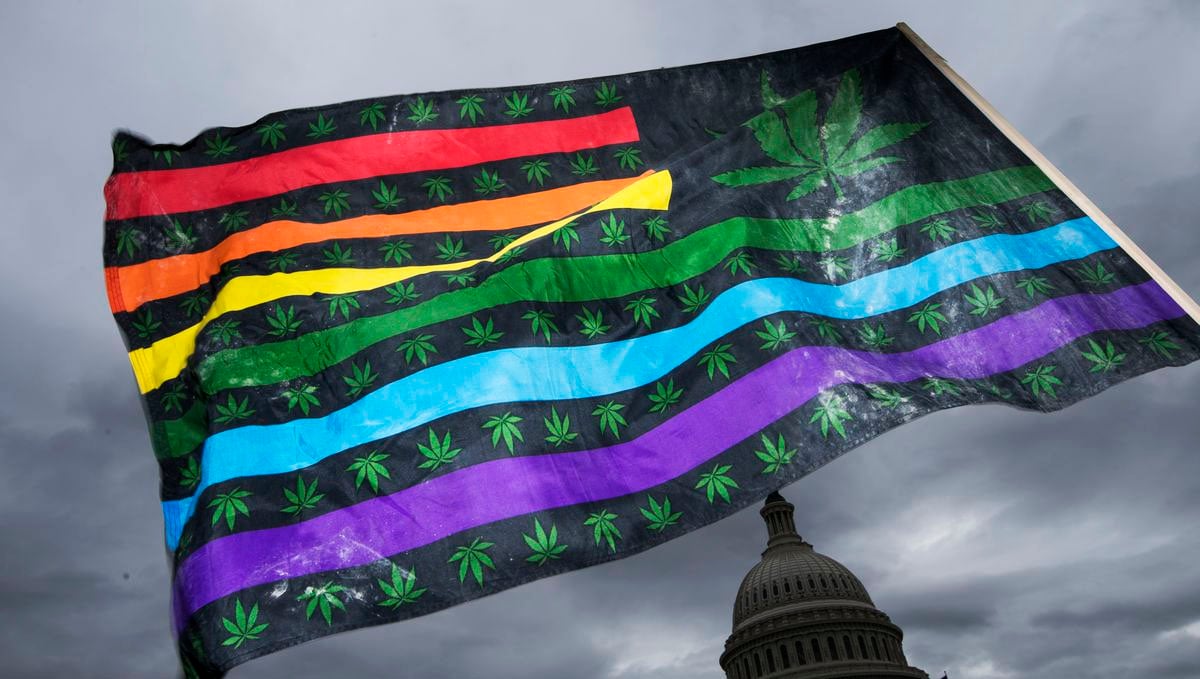 Cannabis Related Stomach Disorder On The Rise: Reports of vomiting went up in the U.S. post the legalization of weed. Cannabis Related Stomach Disorder On The Rise: Reports of vomiting went up in the U.S. post the legalization of weed.