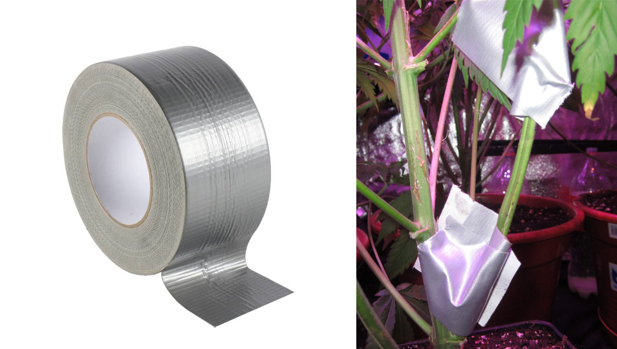 Top 8 growing gadgets: tape