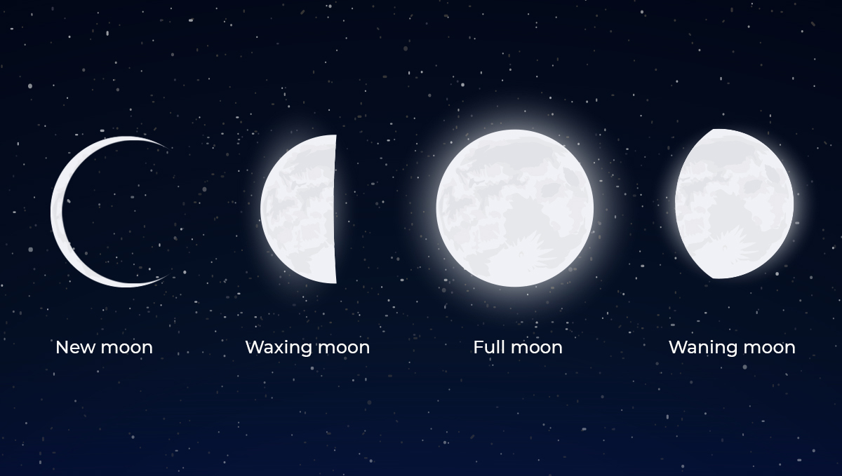 Lunar calendar: moon phases Lunar calendar: lunar cycles