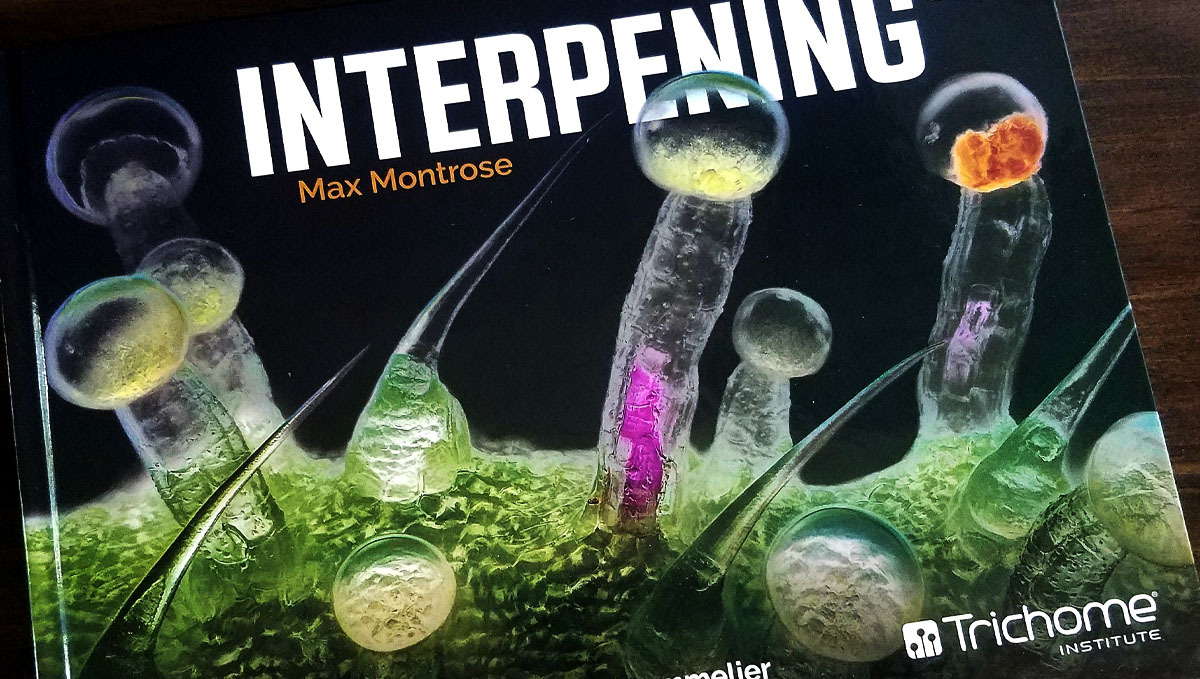 The best online cannabis courses: trichome institute The best online cannabis courses: trichome institute