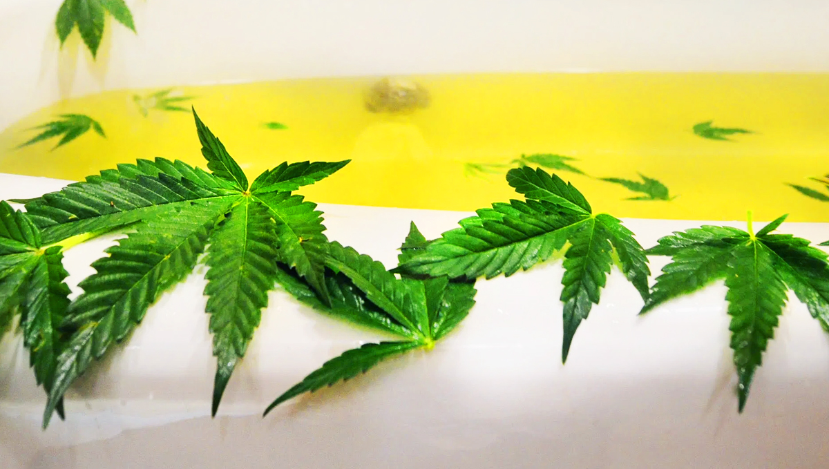 Cannabis bath salts provide amazing health benefits!