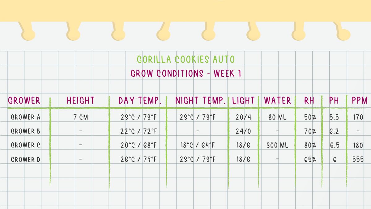 Gorilla Cookies Auto Cannabis Strain Week-by-Week Guide: Week 1 Grow Conditions