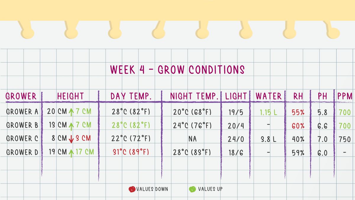 Grow Conditions Week 4 Grow Conditions Week 4