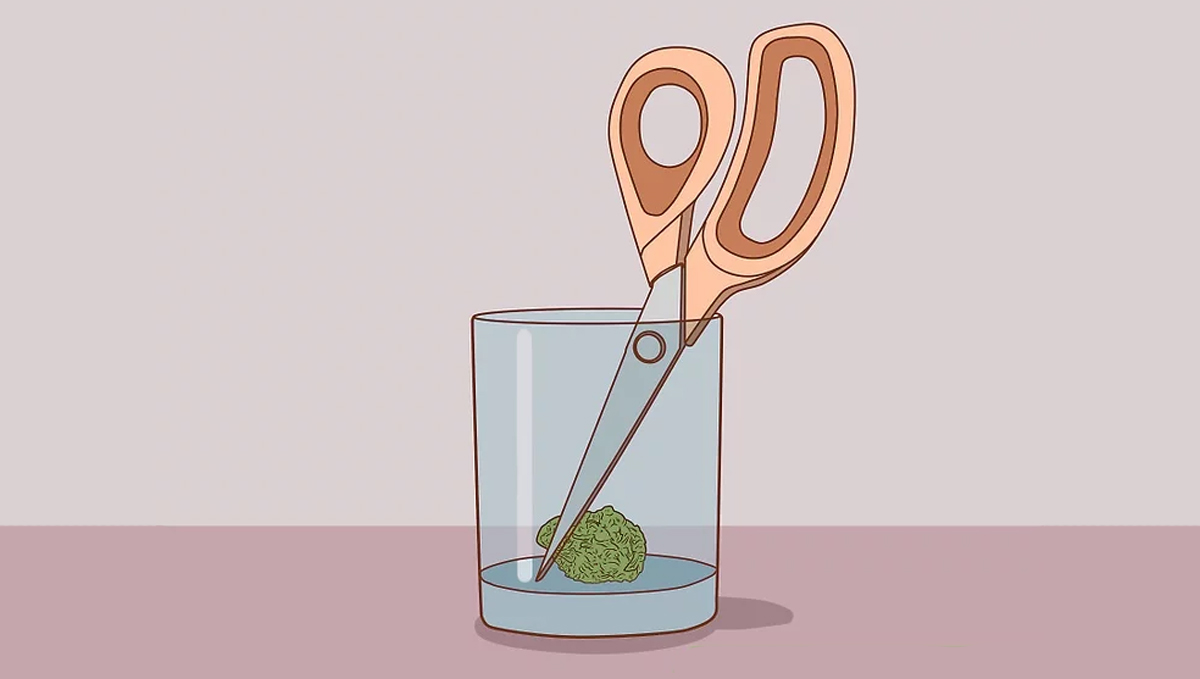 Grinding cannabis buds with scissors