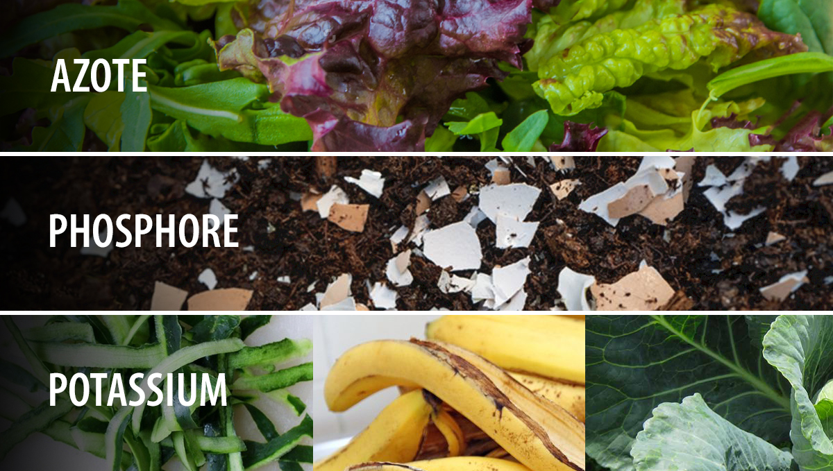 Compostage: sources de NPK