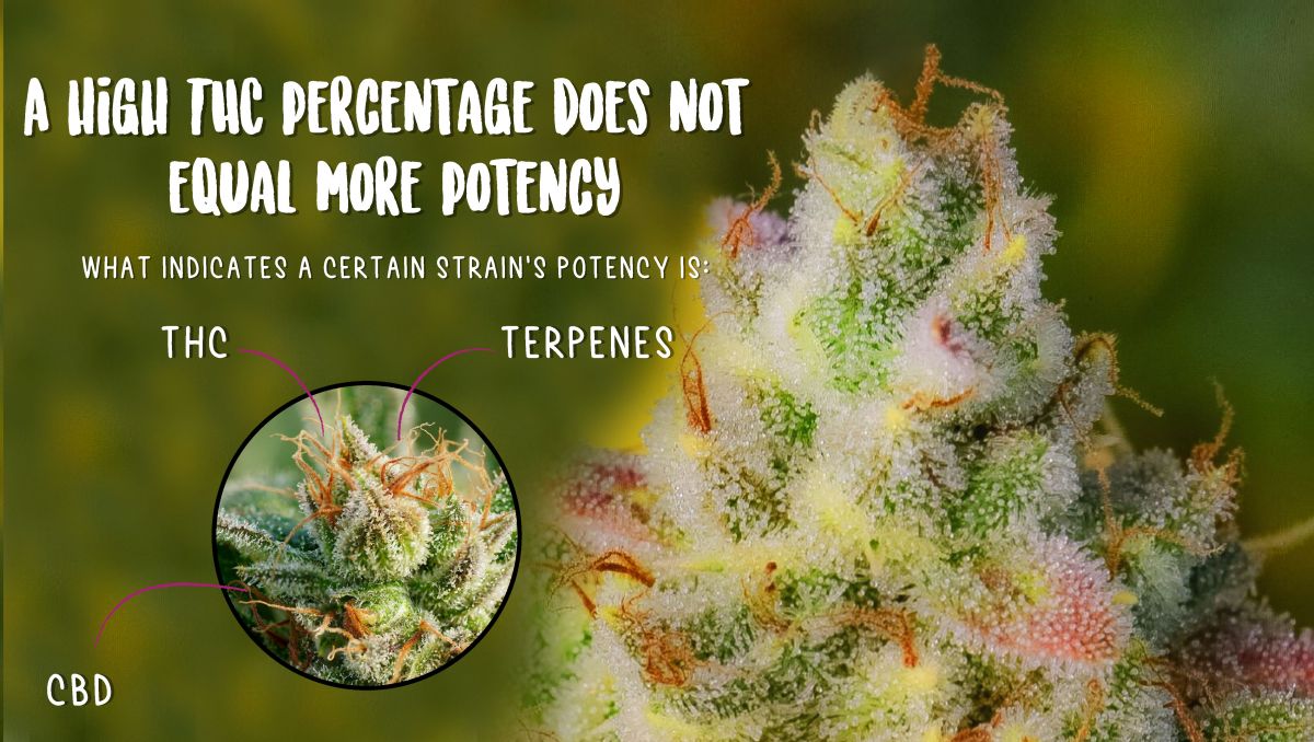 Are autos potent?: what determines potency?